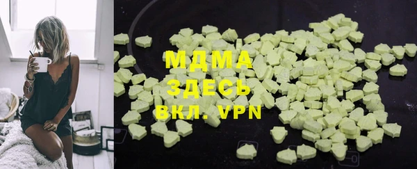 мдпв Инсар