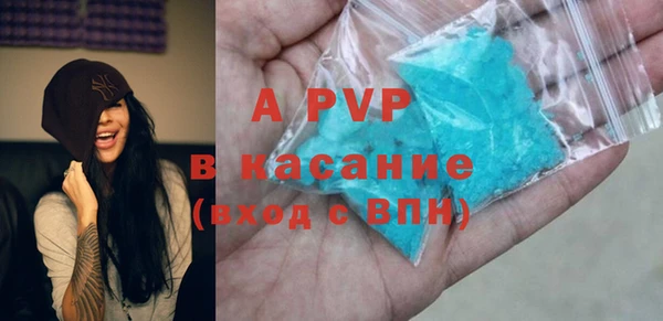 мдпв Инсар