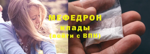 мдпв Инсар