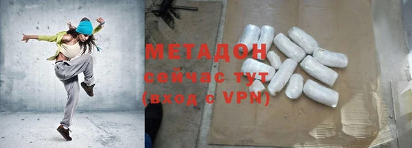 мдпв Инсар