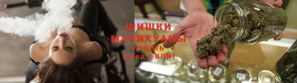 мдпв Инсар