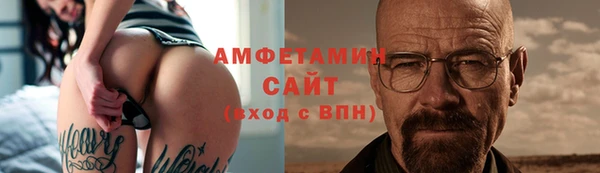 мдпв Инсар