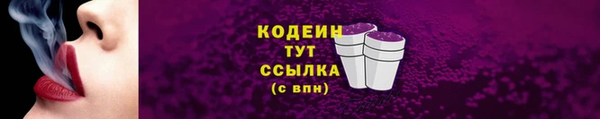 мдпв Инсар