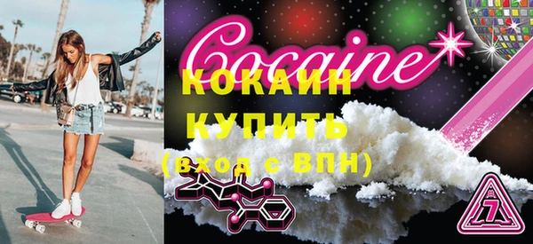 мдпв Инсар