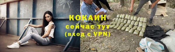 мдпв Инсар