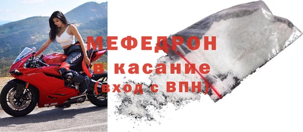 мдпв Инсар